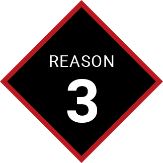 reason03